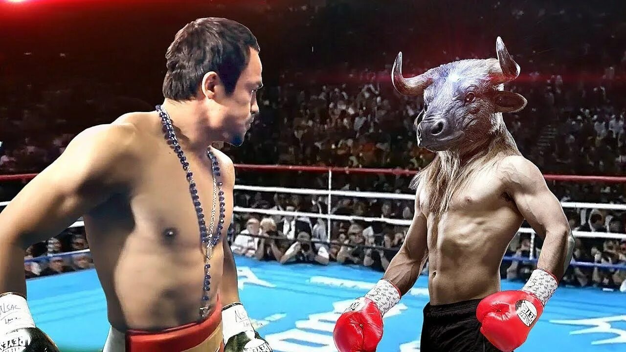 Монстер бокс. Boxing monster. Boxing monster. Наоя иноуэ нонито донэйр 2022. Boxing monster.