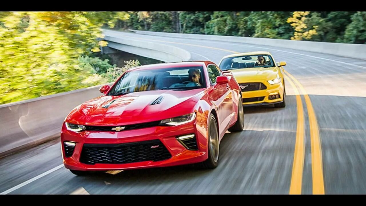 Форд мустанг и шевроле камаро. Ford camaro. Мустанг шевроле камаро. Форд мустанг челленджер. Шевроле камаро vs форд мустанг.