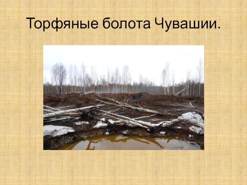 Торфяные болота девоншира. Торфяное болото 5 букв кроссворд. Торфяные болота тейково. Торфяное болото. Торфяные болота.