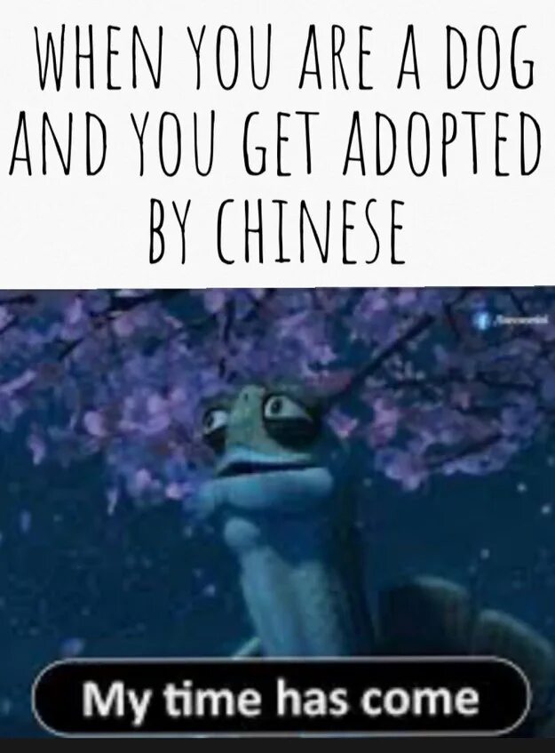 When my time has come. The time has come мем. my time has come oogway. my time has come meme. time is come мем.