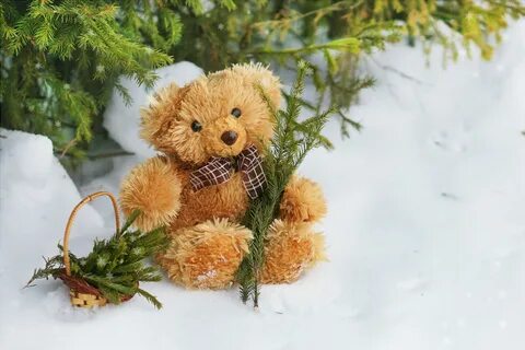 Медвежонок новый