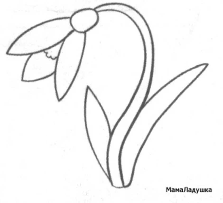 Шаблон цветка подснежника для вырезания из бумаги