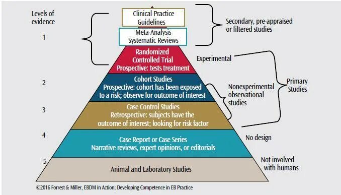 Study level. Методология evidence center. hierarchy of levels in the english language. level of study. hierarchy of levels with in system of language.