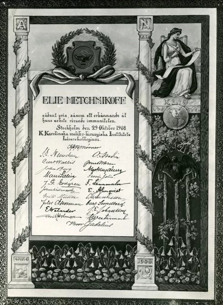 Нобелевская премия Мечникова 1908. Награждение Нобелевской премией Мечникова.