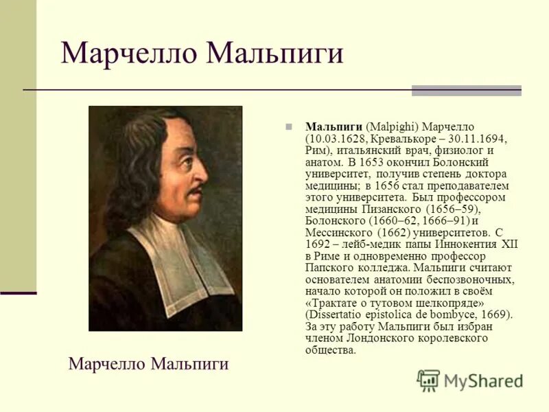 Эксперимент мальпиги. Эксперимент мальпиги