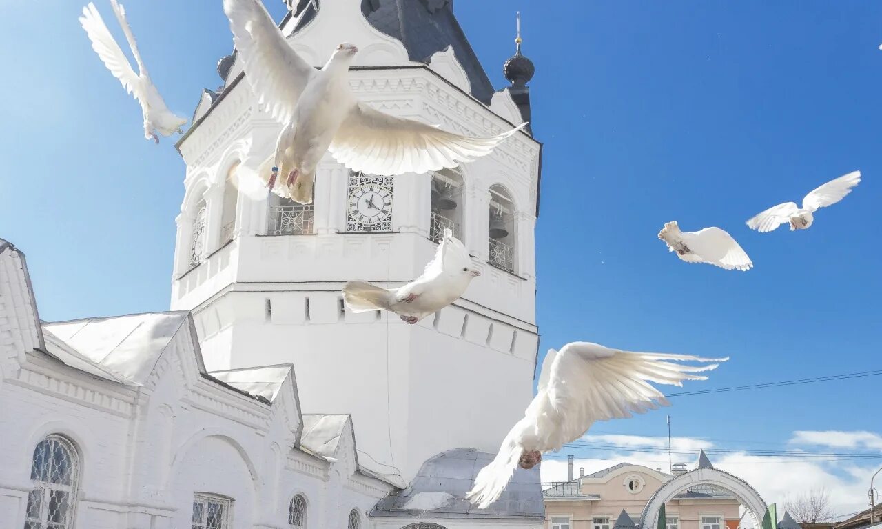 С праздником Благовещения Пресвятой Богородицы. Благовещение Пресвятой Богородицы голуби. Назарет храм Благовещения Пресвятой Богородицы. Храм и птицы. Благовещение в 2024 году какого