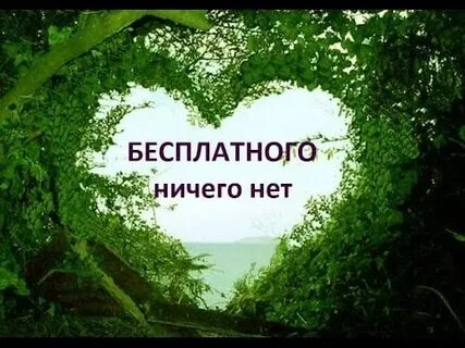 Бесплатного то нету