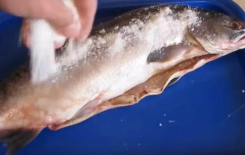 горбуша после разморозки. посол горбуши сухим способом. посол горбуши сухим способом. горбуша солёная сухой посол. семейство лососевых голец.