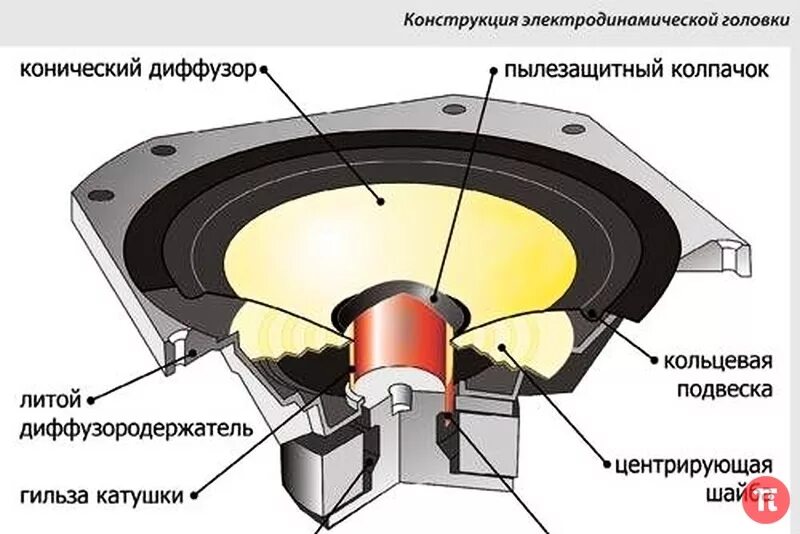 Акустическая головка. Электродинамический громкоговоритель схема. Динамическая головка широкополосная 6.5 дюймов. Принцип работы колонок схема. Динамик устройство и принцип работы.