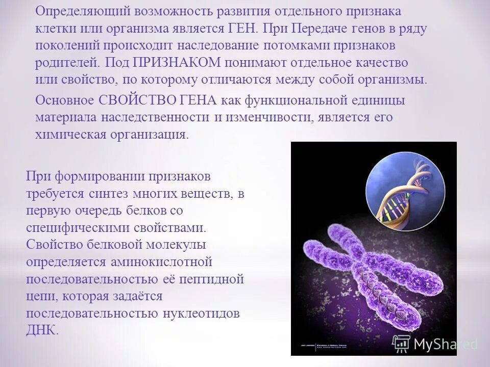 Передача наследственной информации происходит