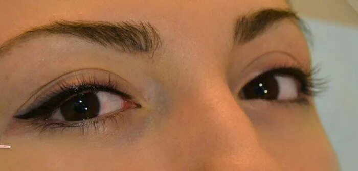 BROW GEL in 25 Dark Brown by @denitslava Neutral eye makeup, Eye makeup, Eyeshad