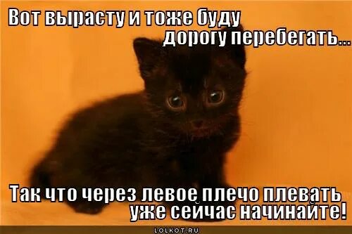 Сплюнуть через левое плечо. Через какое плечо плевать. Плюнь через плечо. Плюющий человек рисунок. Почему надо плевать через левое плечо.