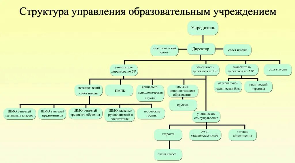 Органы управления образовательной