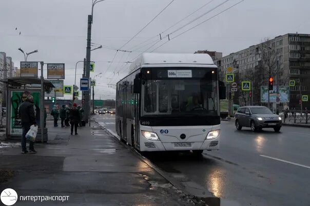 Маршрут 596 спб. Автобус 596б кудрово. автобус 210 петергоф. маршрут 596б спб кудрово.