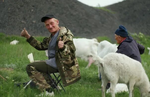 Гриша отдыхает у дедушки в деревне грушевка. Дед пасет коз. Пастух и козел. Мужик пасет коз. Чабан с козой прикол.