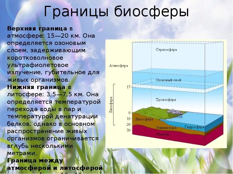 Какие факторы ограничивают распространение жизни в атмосфере. Границы биосферы в гидросфере. Нижняя граница биосферы. Границы распространения жизни. Биосфера и ее границы.