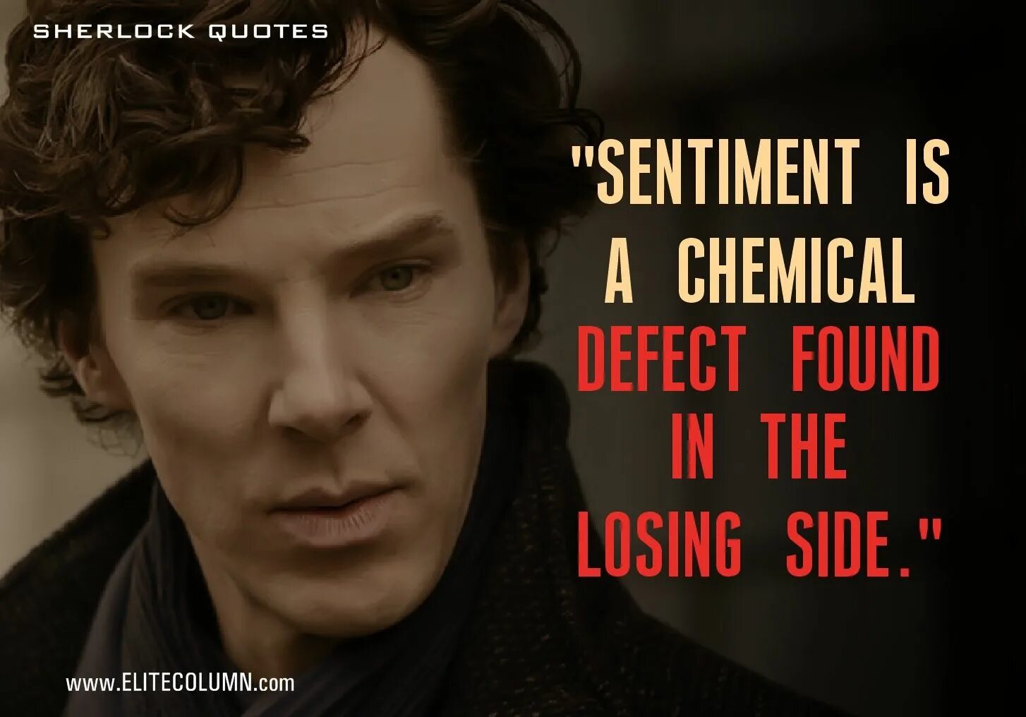 Кибиров тимур сантименты восемь книг. Сантименты фото. Твои сантименты. Time lord and the tardis мамка твоя. Твои сантименты.