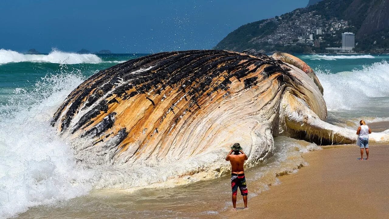 Сами больше море в мире. Самое большое море. Гигантское ЦУНАМИ. Самые большие океаны. Гигантские волны.