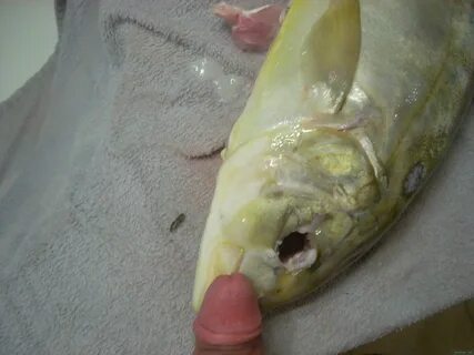 Fish Sucking Penis