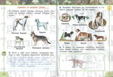 Породы собак 2 класс окружающий
