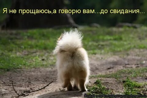 Ухожу картинки смешные