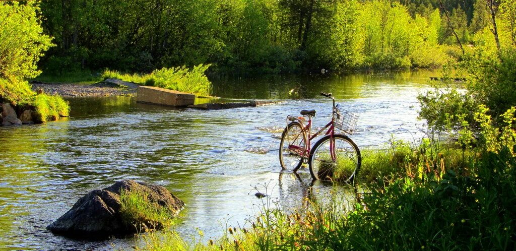 River bike. Велосипед на речке. Велосипед у реки. Велосипед у пруда. Речка байки.