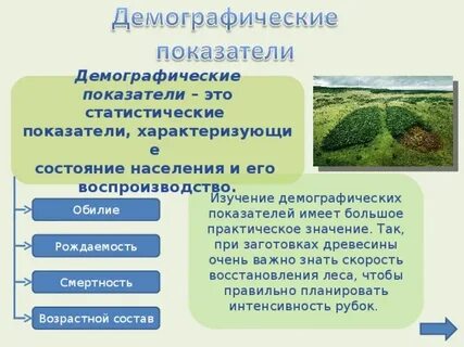 Какие показатели популяции относят к демографическим