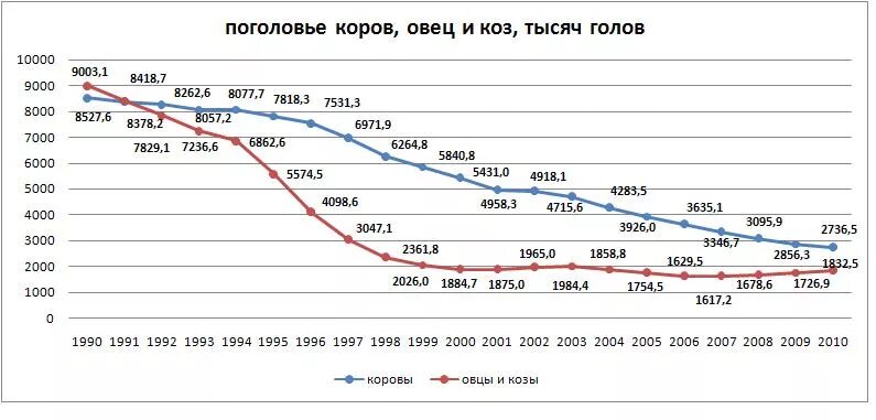 Поголовье это сколько. Поголовье скота. Поголовье скота. Поголовье это сколько. Поголовье это сколько.