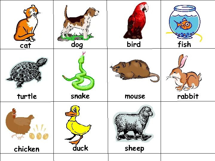 Rabbit snake 3