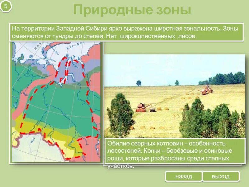 Природно хозяйственные зоны западной сибири