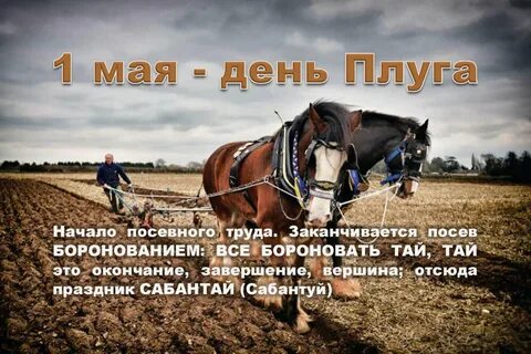 День плуга