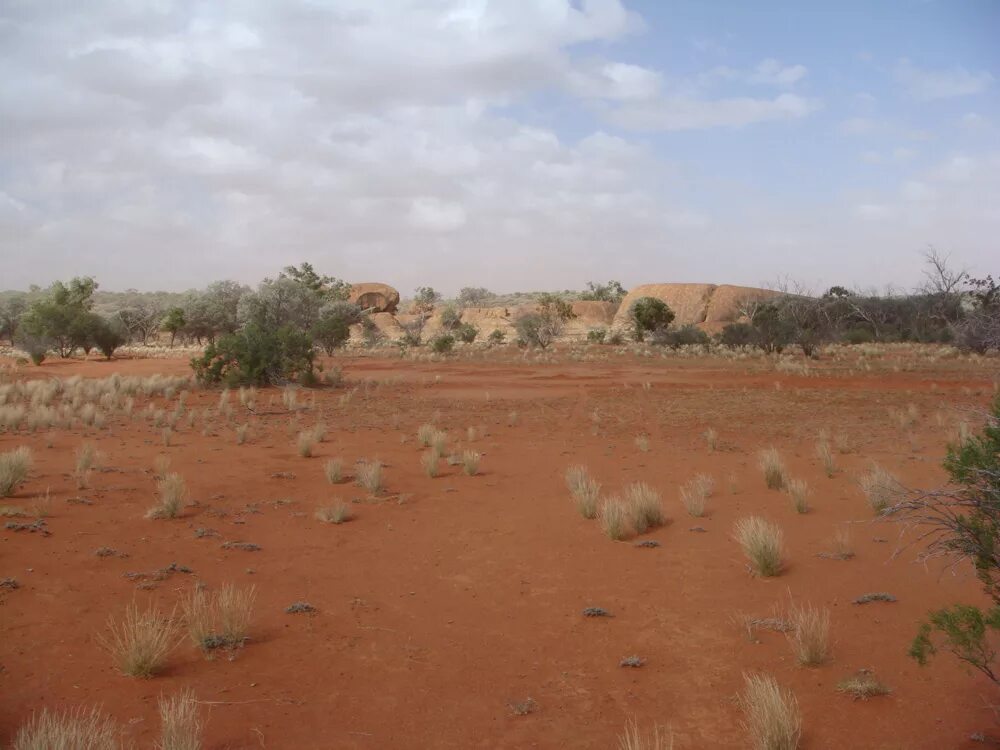 Серо-бурые пустынные почвы растительность. Полупустынные почвы. Полупустынные почвы. Почвы полупустынь в россии. Серо бурые почвы пустынь.