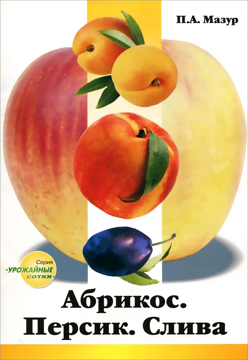 А. Абрикос в москве и подмосковье а. Абрикосов меценат. Книга абрикос. Лучшие рецепты домашних заготовок комсомольская правда.