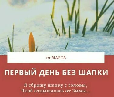 Первый день без шапки картинки прикольные
