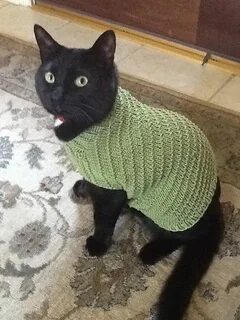 Вязание для кошек
