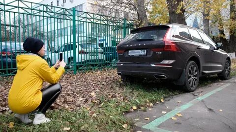 Писать возле машины