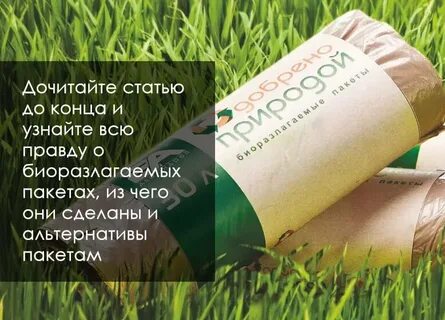 Разумная альтернатива