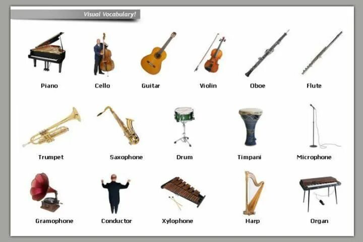 Instruments in english