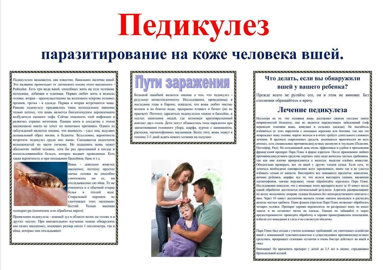 Профилактика сыпного тифа педикулез. Памятка по педикулезу для родителей в детском саду. Памятка для родителей по профилактике педикулеза в детском саду. Педикулёз в детском саду памятка для родителей. Памятка для родителей профилактика педикулеза у детей.