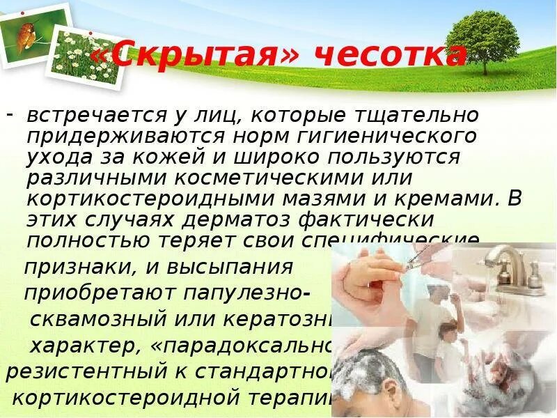 Чесотка - 8 форм с фото, симптомы, причины и лечение