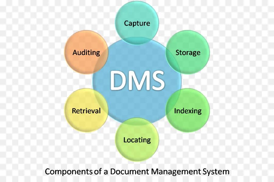 DMS document Management System. Несколько источников дохода картинка. Множественные источники дохода картинки. Источники доходов бизнеса. Разные источники доходов