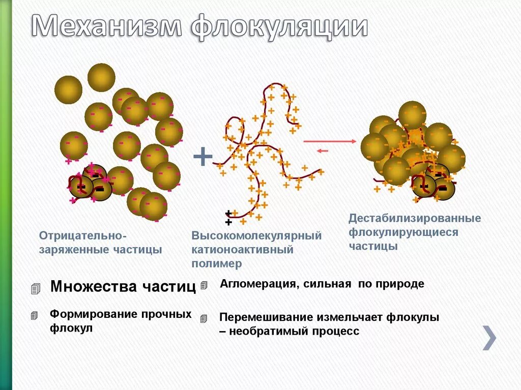 Слипание коллоидных частиц. Процесс флокуляция схема. Флокуляция механизм действия. Коагуляция и флокуляция. Механизм флокуляции.