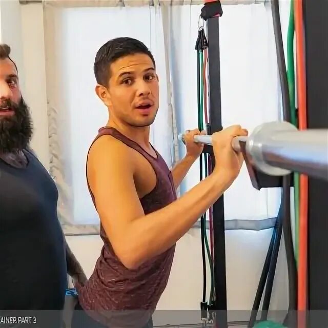 The training part 3. Alex montenegro. parts of a trainer.