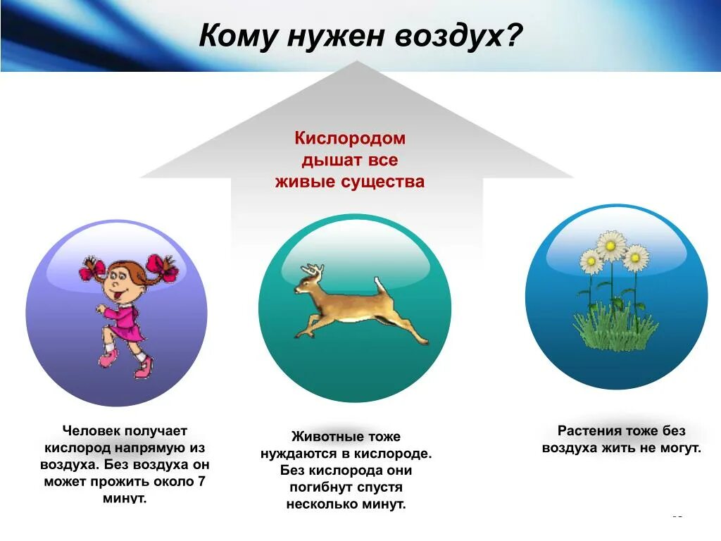 Кому нужен воздух. Картинки кому нужен воздух. Презентация на тему воздух для дошкольников. Зачем нужен воздух. Организмы без кислорода способные