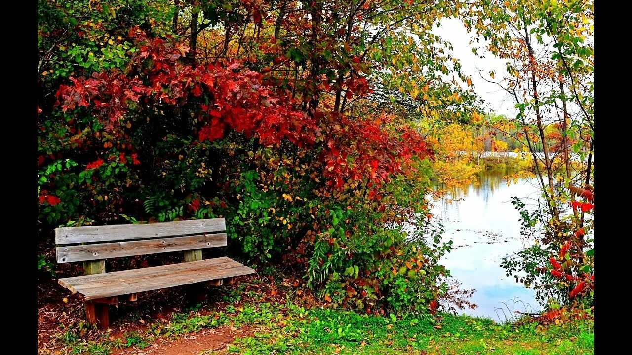 An autumnal view Forest hills gardens, Scenery, Autumn scenes
