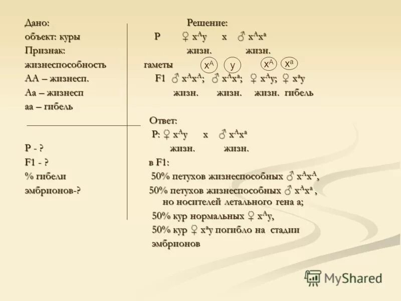 Задачи по генетике схемы
