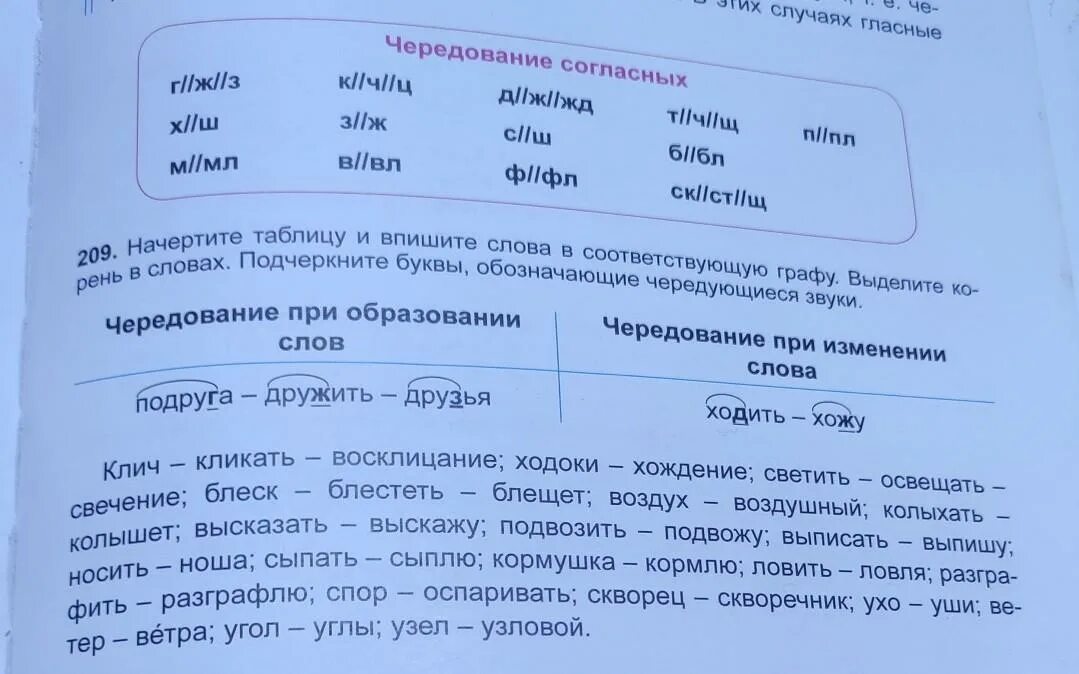 Впишите в соответствующие графы таблицы