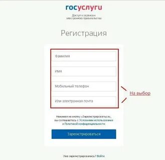 Электронный сервис госуслуг