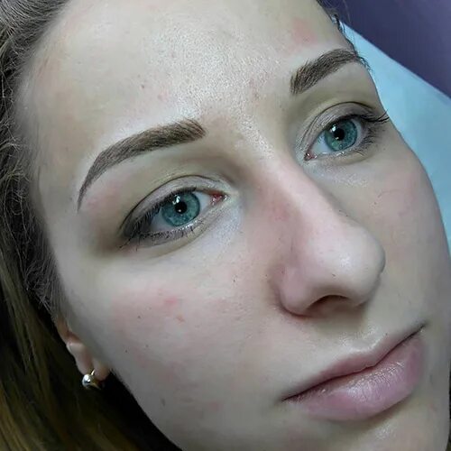 Дмитриева алла мастер перманентного макияжа. Йошкар ола перманентный макияж. Елена нечаева перманентный макияж бровей. Перманентный макияж. Коррекция бровей и ресниц.