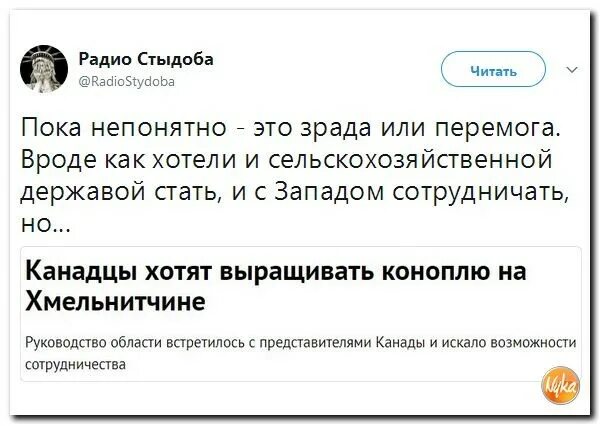 Радио стыдоба. Радио стыдоба. Радио стыдоба. Твиттер стыдоба. Твиттер стыдоба.